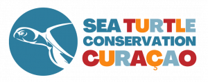 Sea Turtle Conservation Curaçao